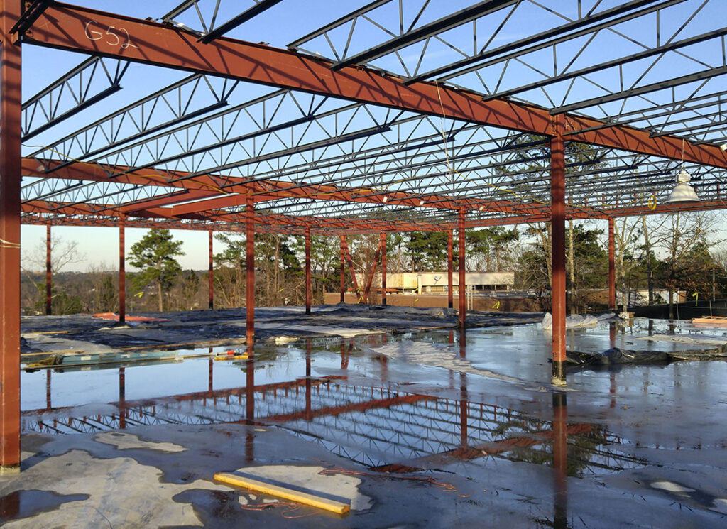 Structural Engineering Live Oak